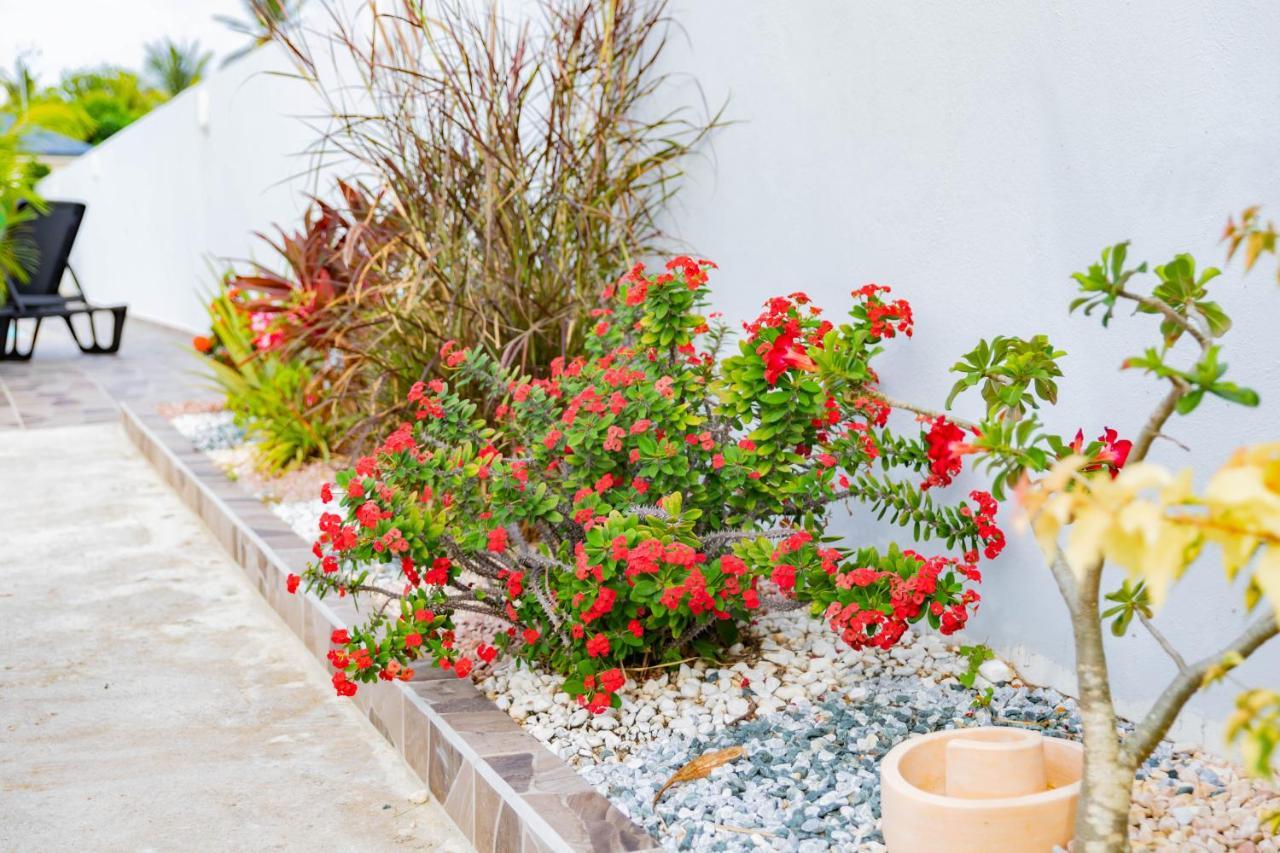 Promo ! Les Paisibles Villas C & G Richeplaine Exterior photo
